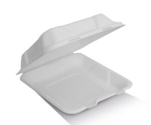 Sugarcane Dinner Box